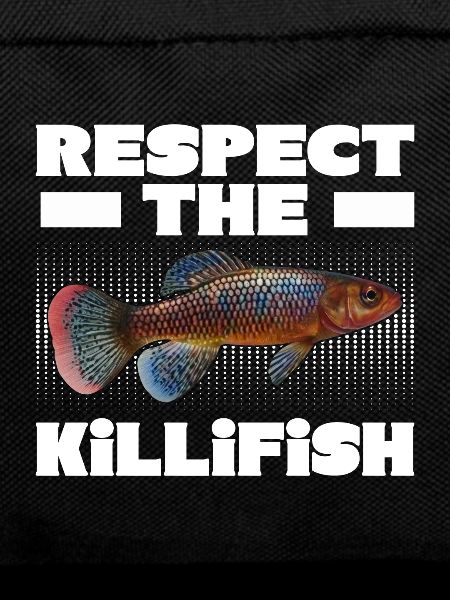 Killifish Quarium Fish