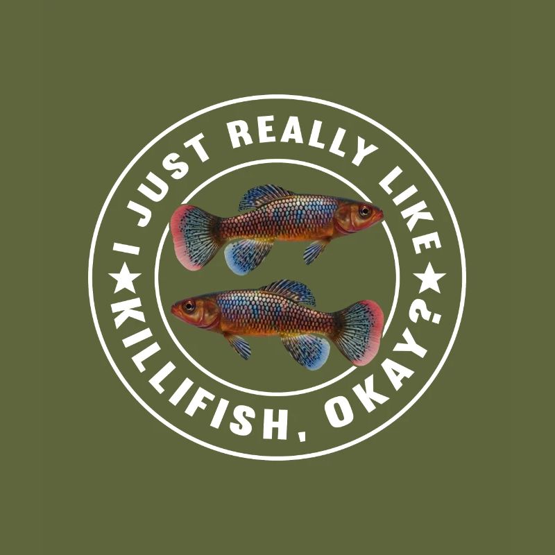 Killifish Quarium Fish