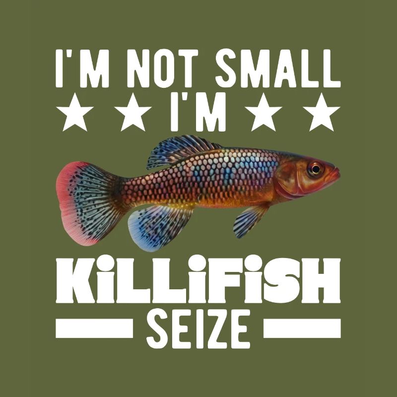 Killifish Quarium Fish