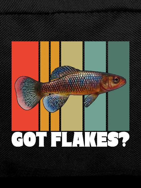 Killifish Quarium Fish