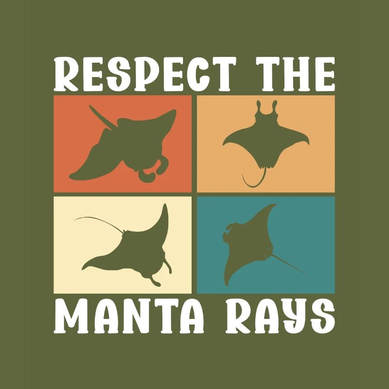 Mantarochen Großer Manta Meeresbewohner
