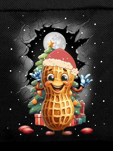 Peanut Peanuts Santa Xmas Christmas