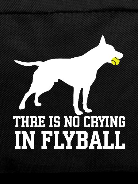 Flyball Dog Sports