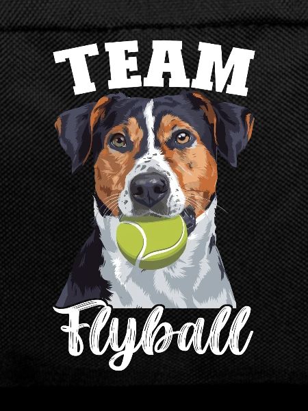 Flyball Dog Sports