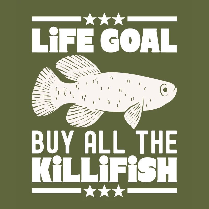 Killifisch Aquarium Fish Lovers