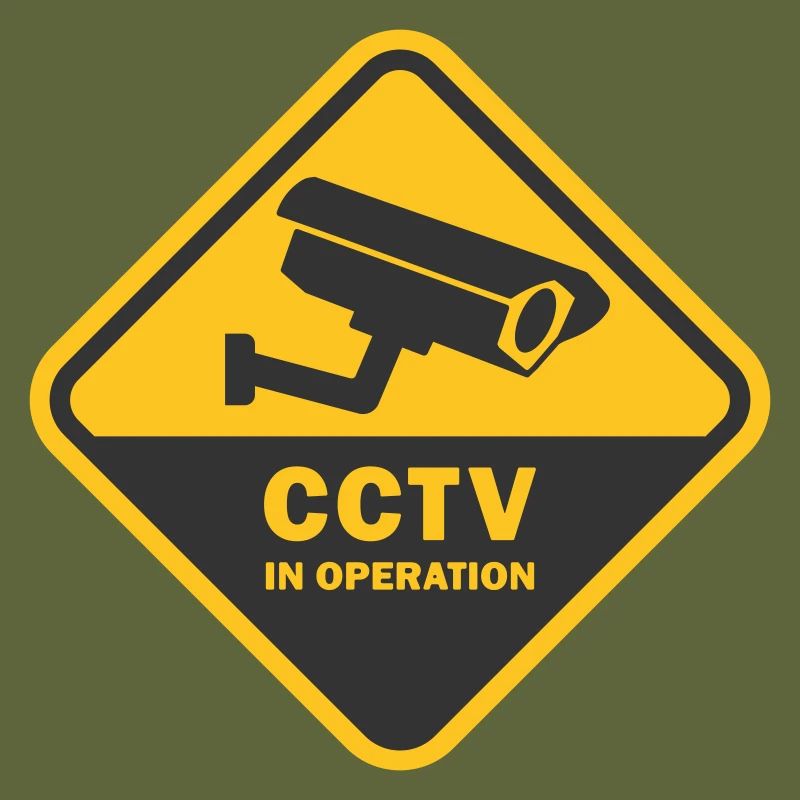 SECURITY CAMERAS IN USE - CCTV in operation
