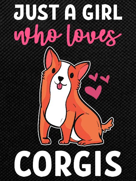 Corgi
