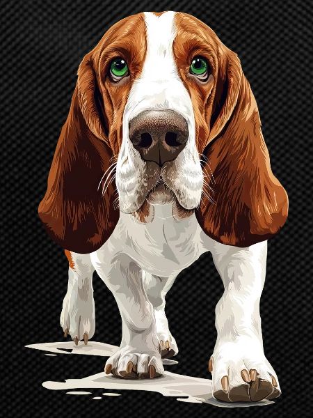 Basset