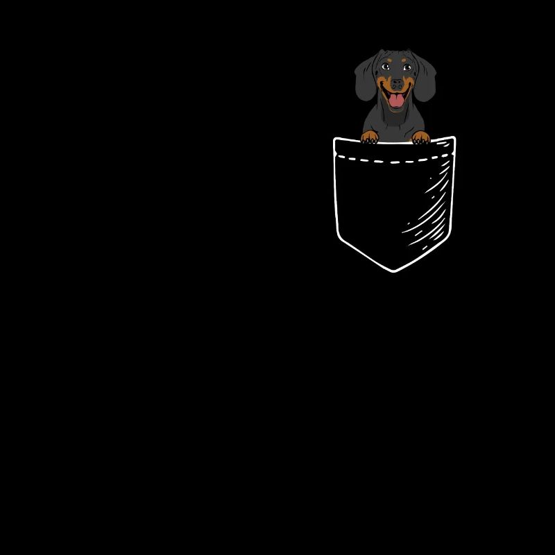 Black Dachshund
