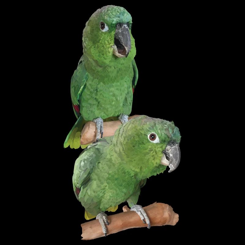 The farinous parrot