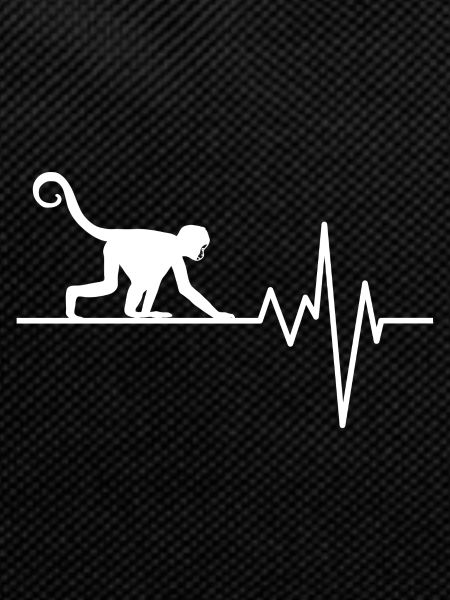singe