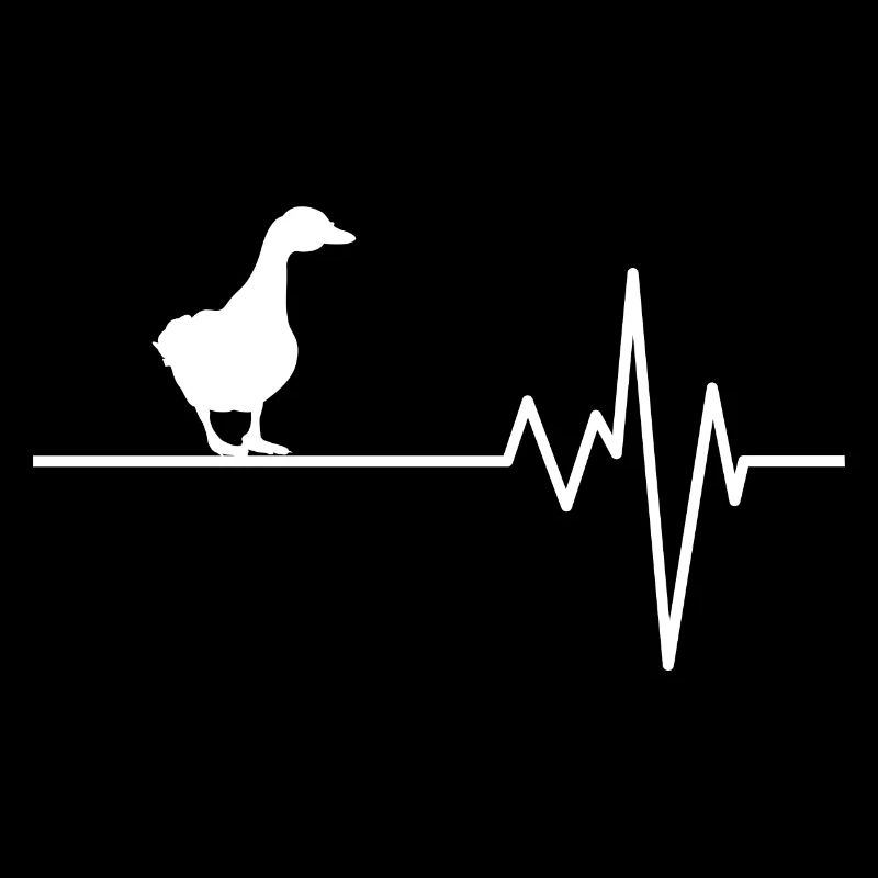 Canard