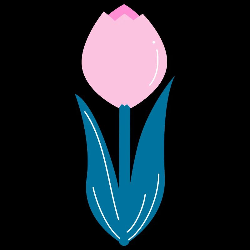 Pink tulip