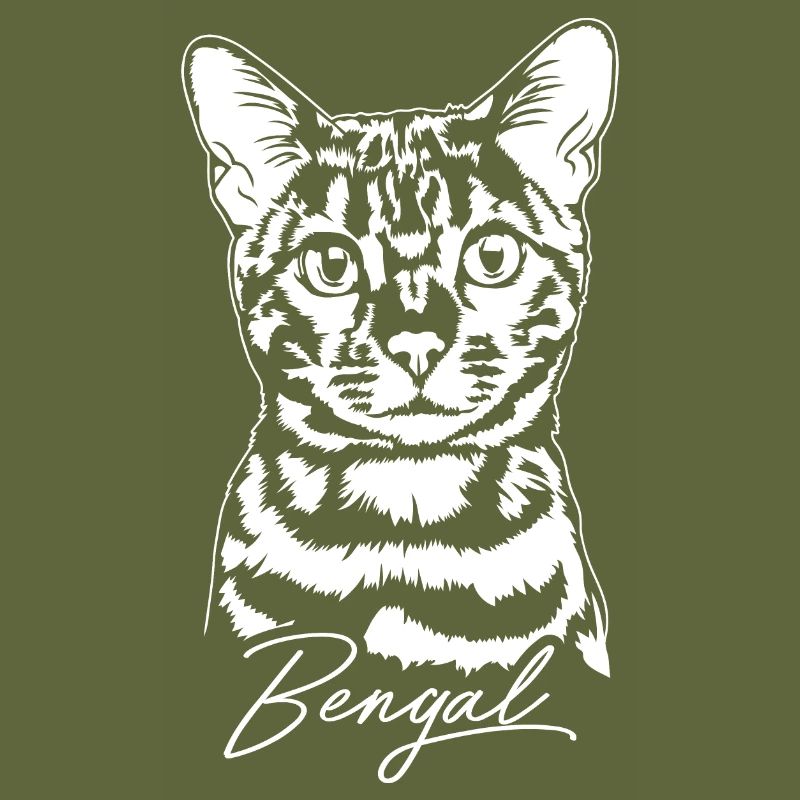 Bengal Chat Portrait Pedigree Chat Chats Wilsigns