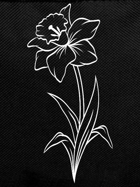 Narcissus
