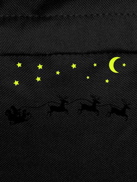 Santa Claus Christmas Sleigh