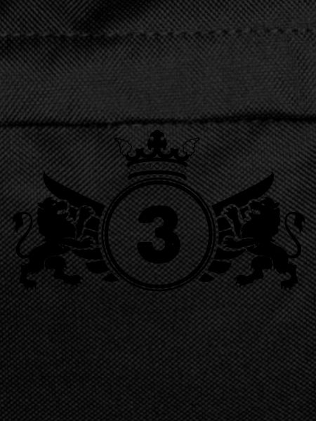 Coat of arms 3