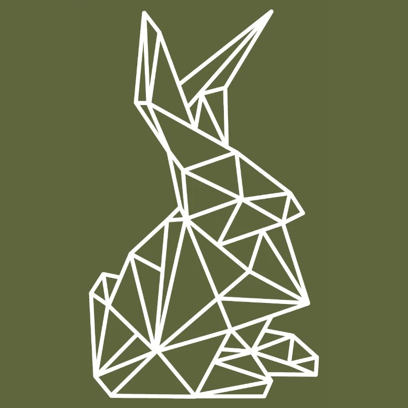 Rabbit Geometry Lines
