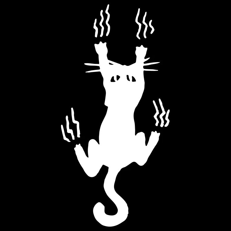 Cats scratch / funny - funny - cat