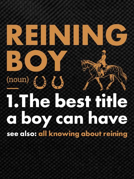 Reiner Boy Definition Reining