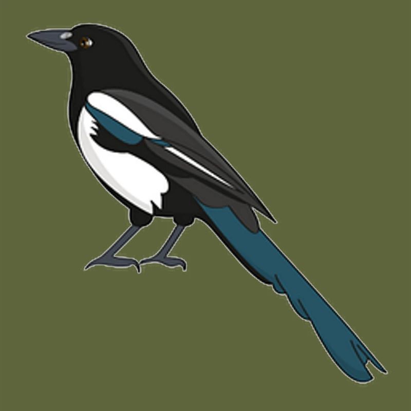 Magpie