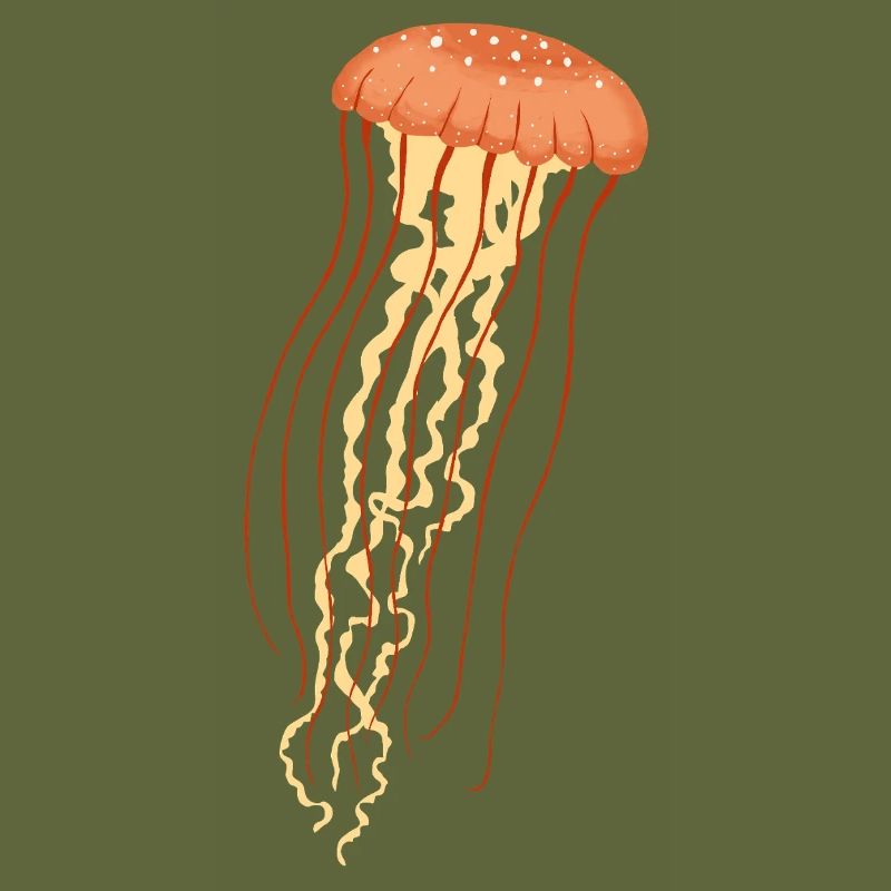 Jellyfish 2