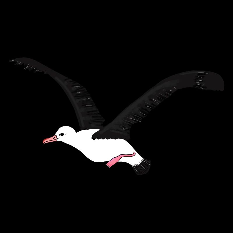 albatross
