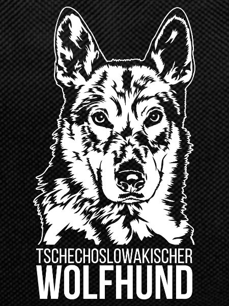 Tschechoslowakischer Wolfhund Portrait Wilsigns