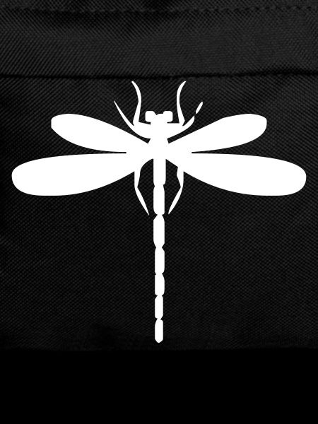 Dragonfly insect