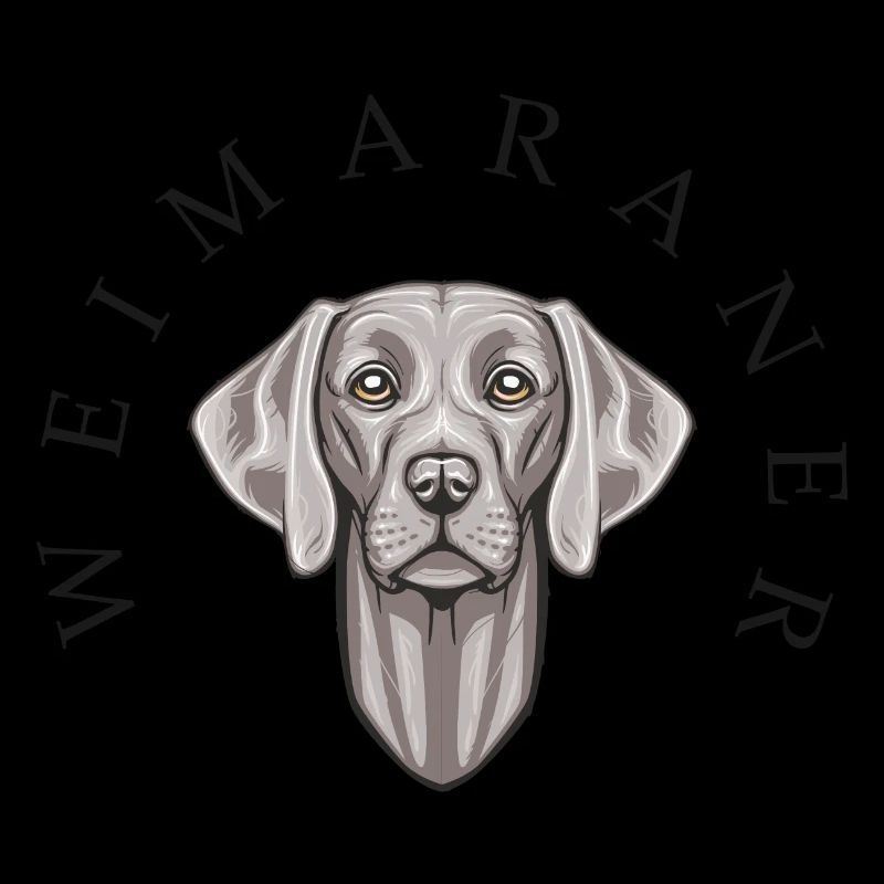 Weimaraner