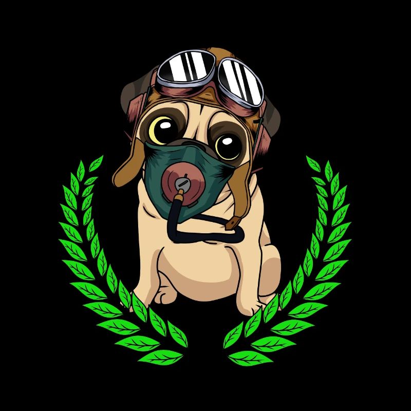 Dog Pilot Pilot Helmet Pilots Fly Air Force