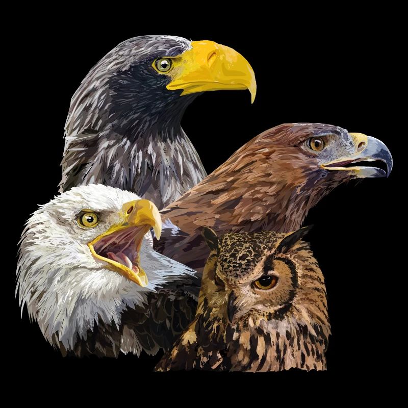Greifvögel