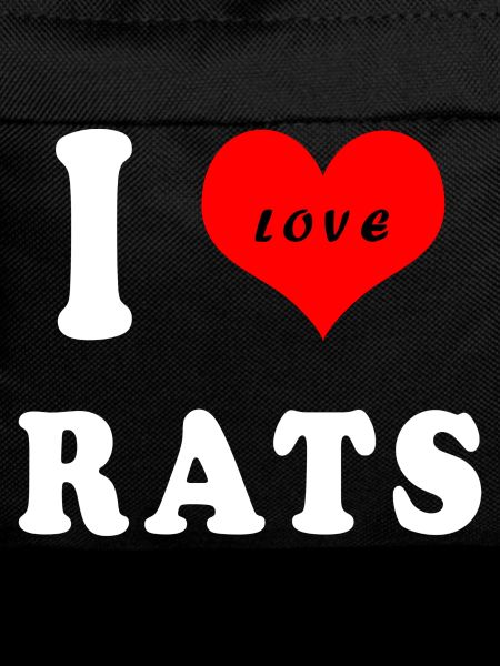 I love rats