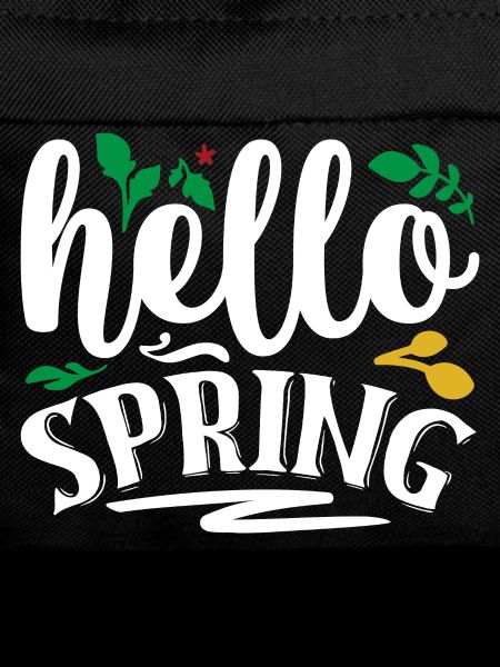 Hello Spring