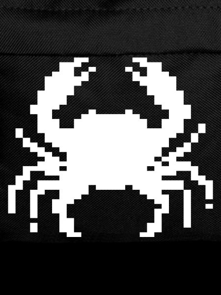 Conception du crabe pixel