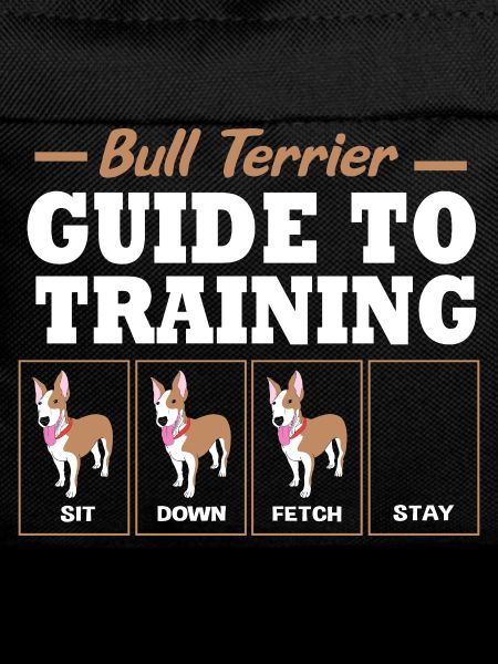 Bull terrier