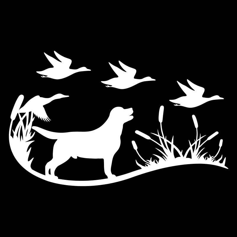 Labrador mit Schilf und Enten