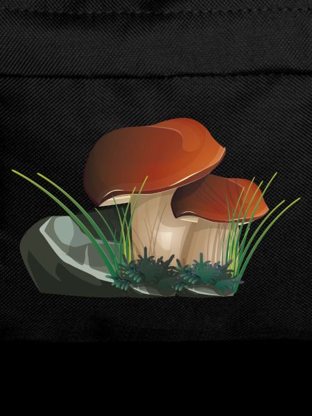 Boletus the king of mushrooms