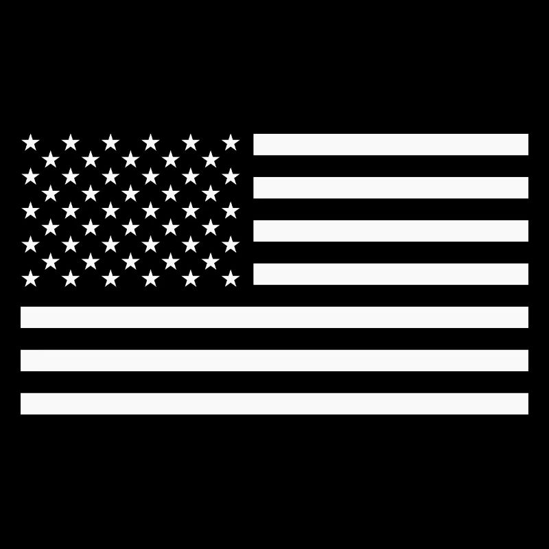 USA America flag