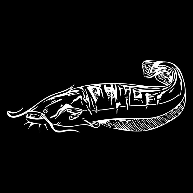 Silure - pêche silure