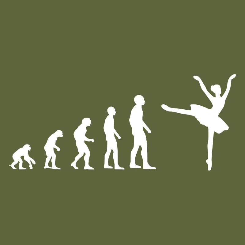 Ballet Ballerina Evolution