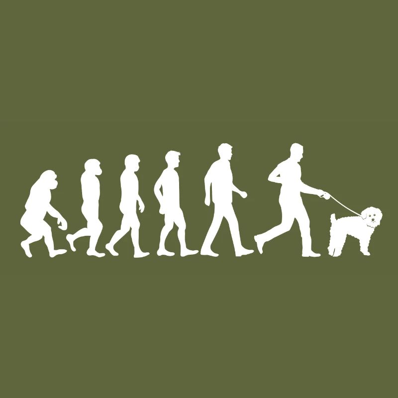 Schnoodle dog evolution dog owner