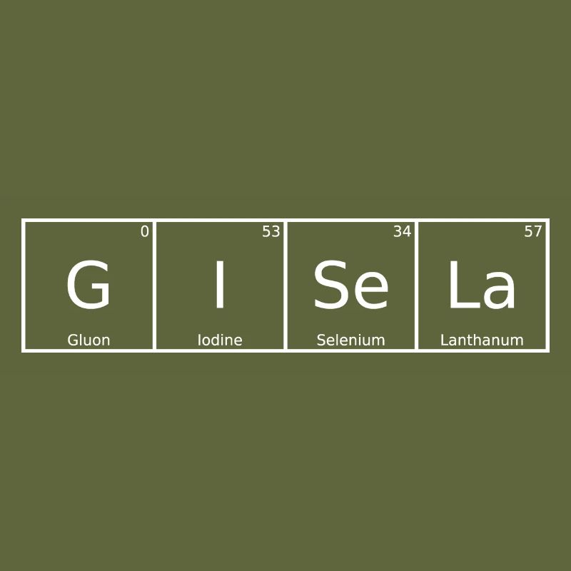Gisela Name First Name Chemistry Periodic Table Elements
