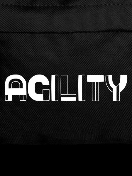 Agility Dog Course