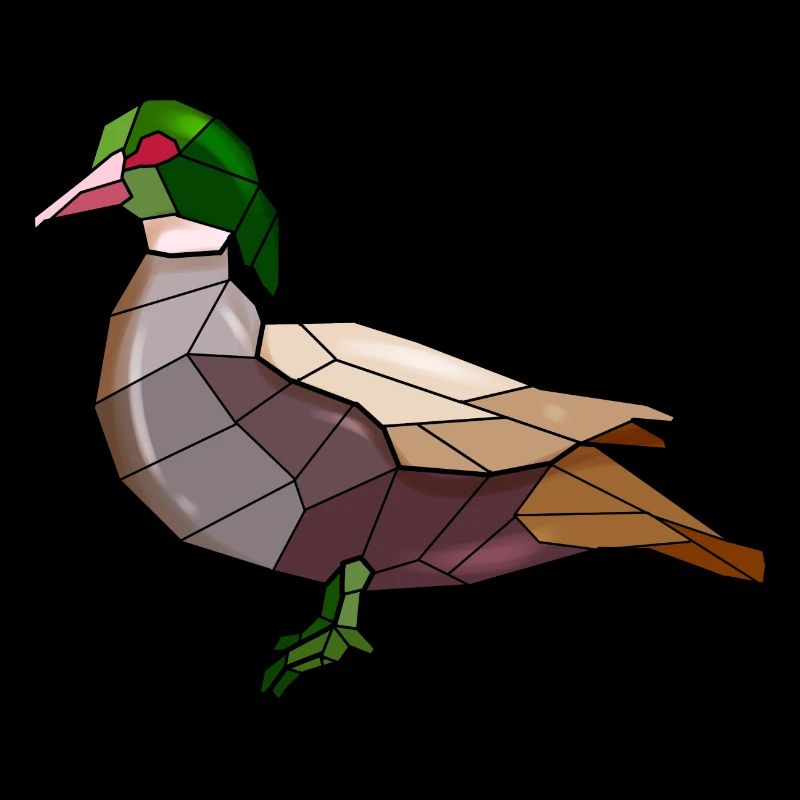 Canard oiseaux géométriques