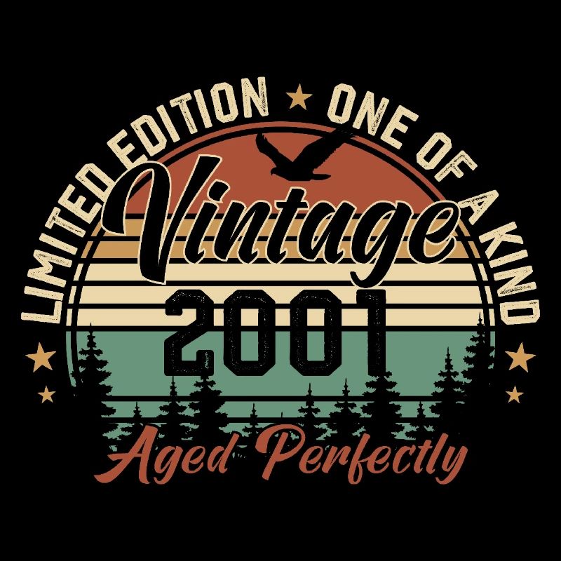 Vintage 2001 Retro 2001 Birthday Gift 2001