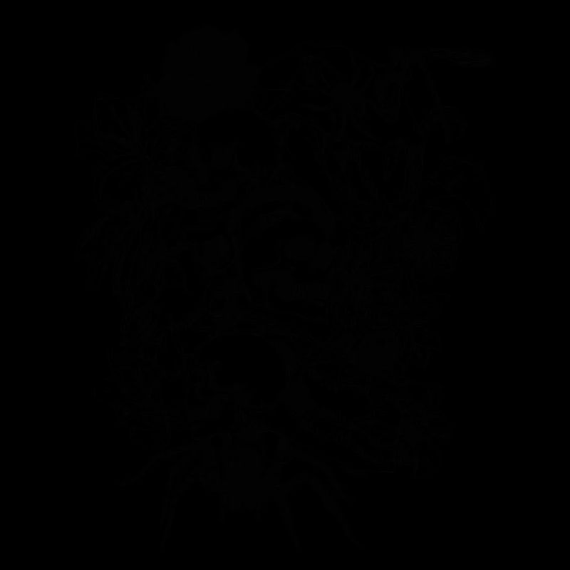 Skulls-et-araignées