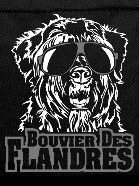 BOUVIER DES FLANDRES cool