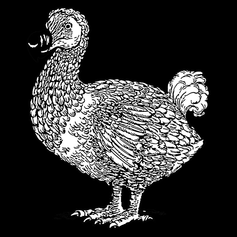 DODO Vogel