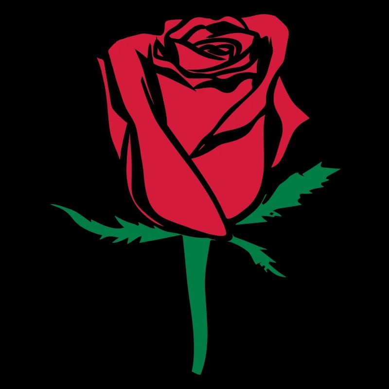Rose Blume